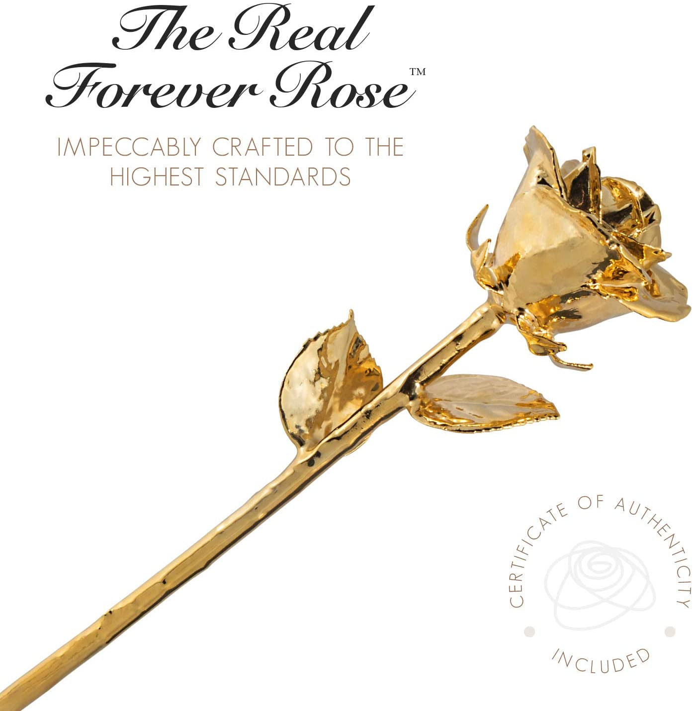 Real 24K Gold Rose, Genuine One of a Kind Rose Hand Dipped in 24K Gold Roses to Last a Lifetime