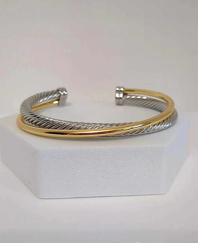 Two Tone Double Cable Bangle