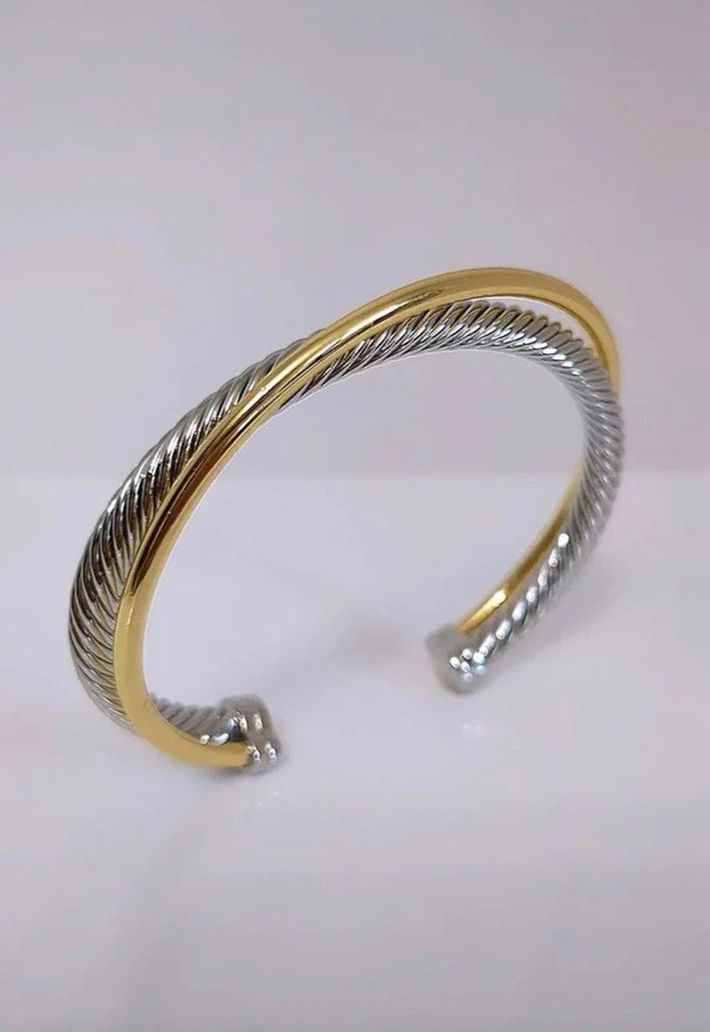 Two Tone Double Cable Bangle