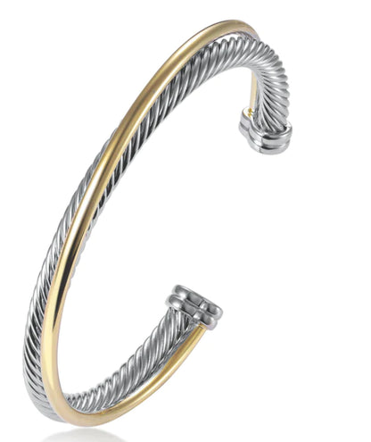 Two Tone Double Cable Bangle