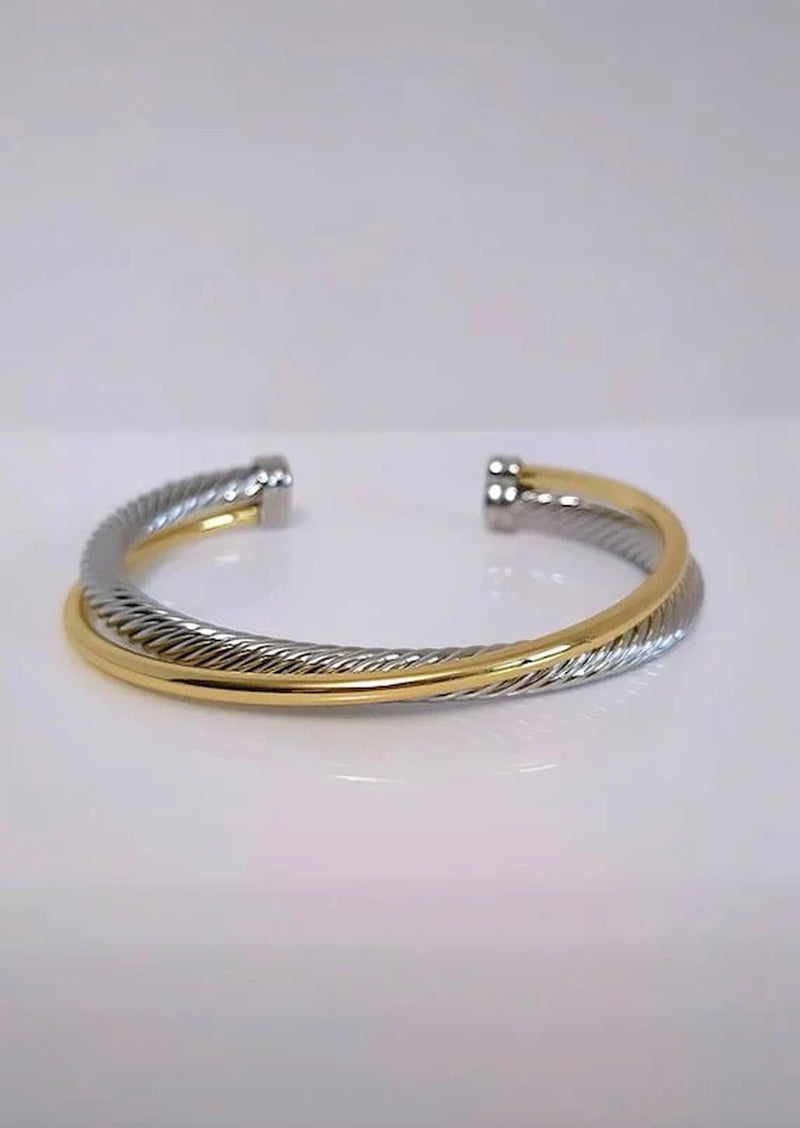 Two Tone Double Cable Bangle