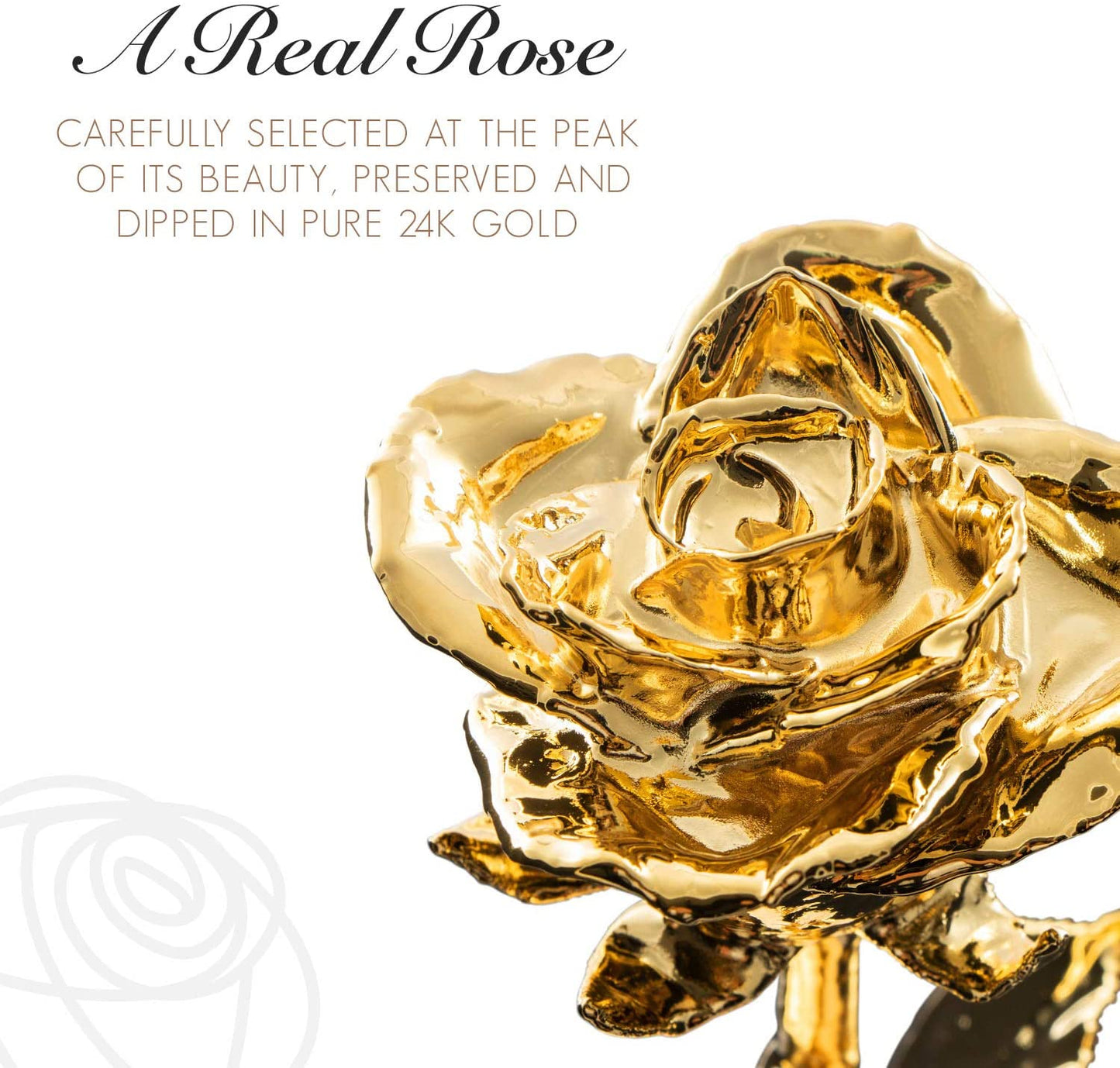 Real 24K Gold Rose, Genuine One of a Kind Rose Hand Dipped in 24K Gold Roses to Last a Lifetime